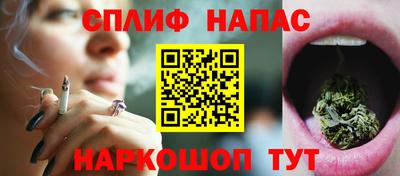 крисы Гагарин