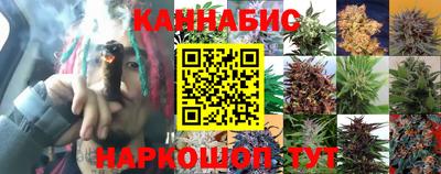 крисы Гагарин