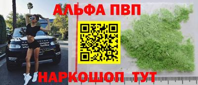 крисы Гагарин